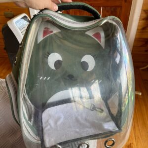 Mochila de gato